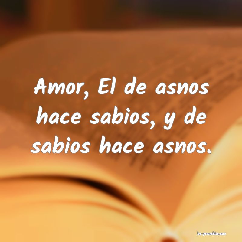 Amor, El de asnos hace sabios, y de sabios hace asnos.
