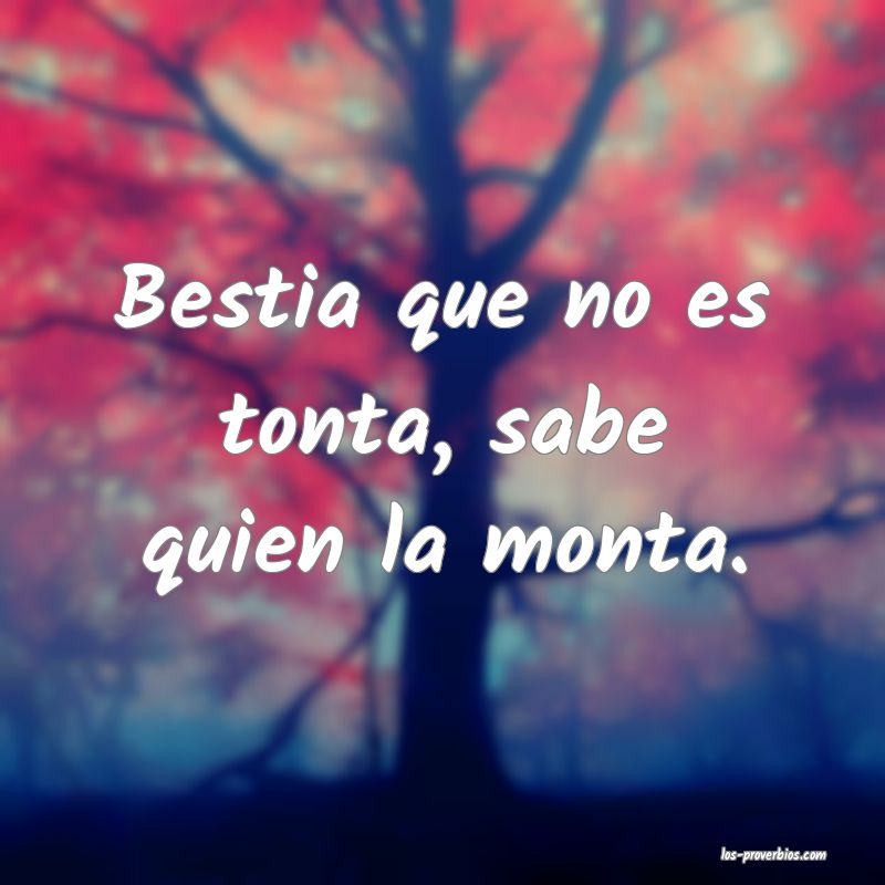 Bestia que no es tonta, sabe quien la monta.
