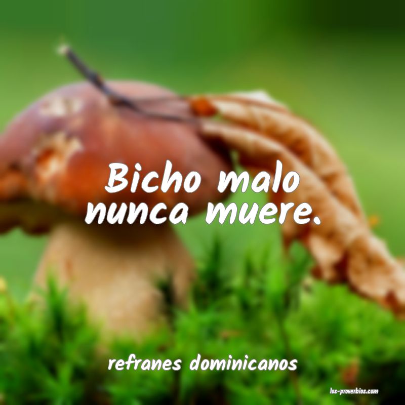 Bicho malo nunca muere.
...