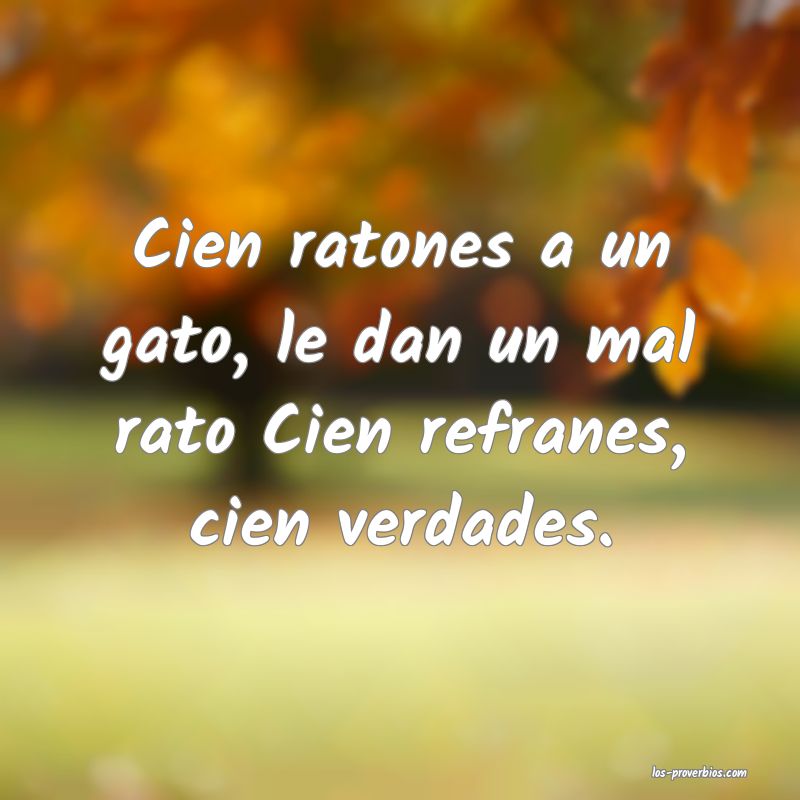Cien ratones a un gato, le dan un mal rato Cien refranes, cien verdades.
