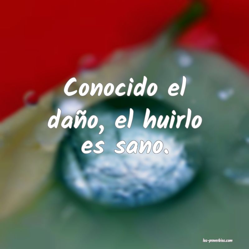 Conocido el daño, el huirlo es sano.
