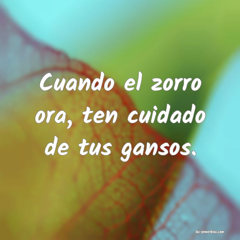 Cuando el zorro ora, ten cuidado de tus gansos.
