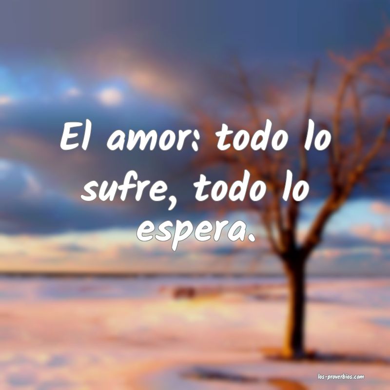 El amor: todo lo sufre, todo lo espera.
