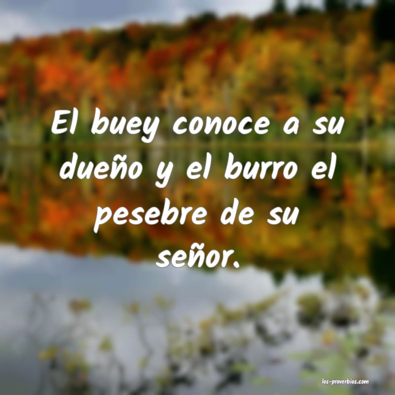 El buey conoce a su dueño y el burro el pesebre de su señor.
