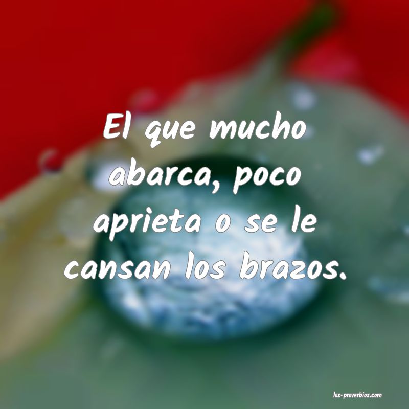 Quien mucho abarca, poco aprieta.