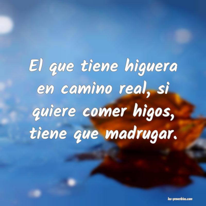 El que tiene higuera en camino real, si quiere comer higos, tiene que madrugar.
