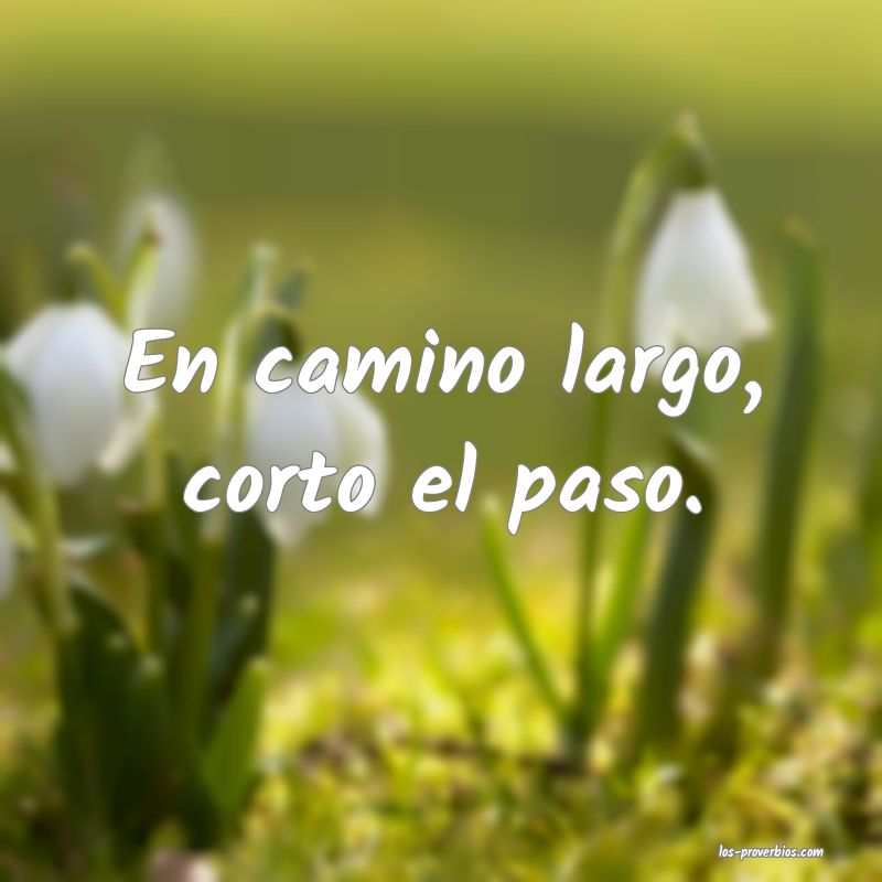 Solo Es Un Viaje Corto Disfrutalo