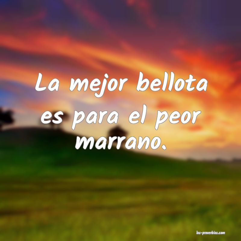 La mejor bellota es para el peor marrano.
