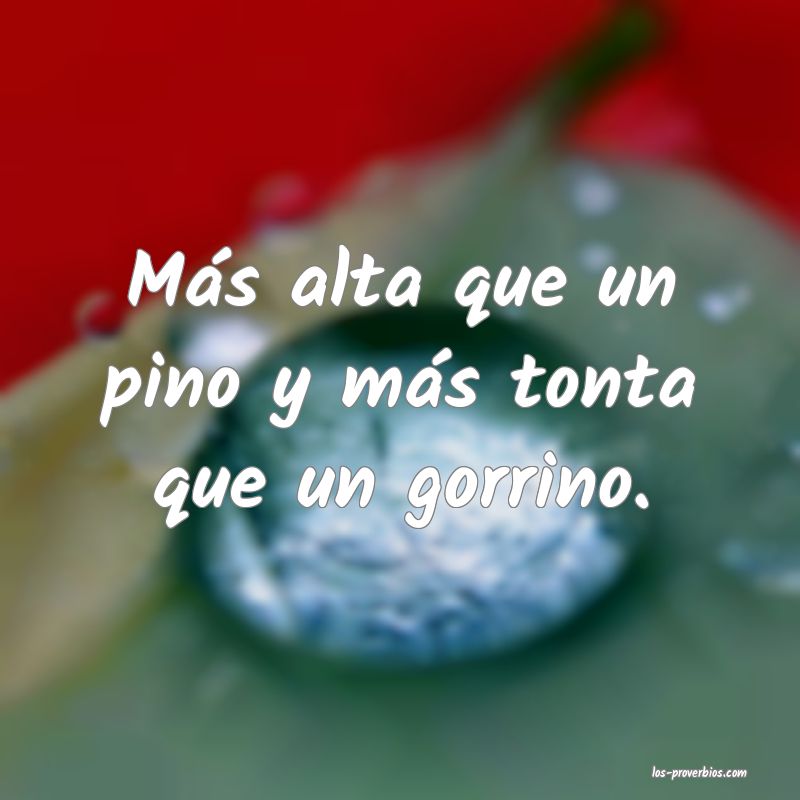 Más alta que un pino y más tonta que un gorrino.
