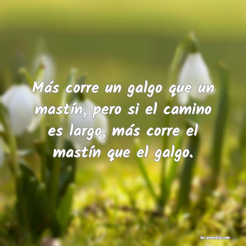 El que corre mucho se cae de panza y el que no corre no alcanza.