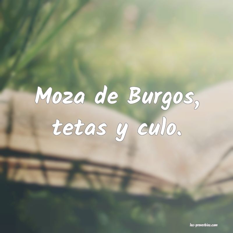 Moza de Burgos, tetas y culo.
