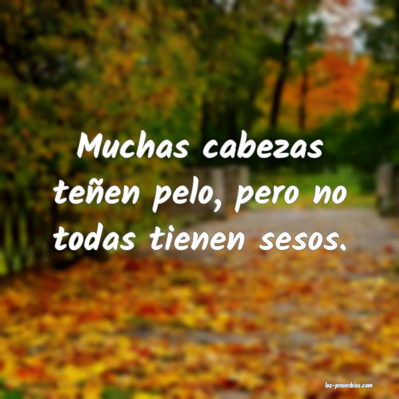 Dos cabezas piensan más que una.