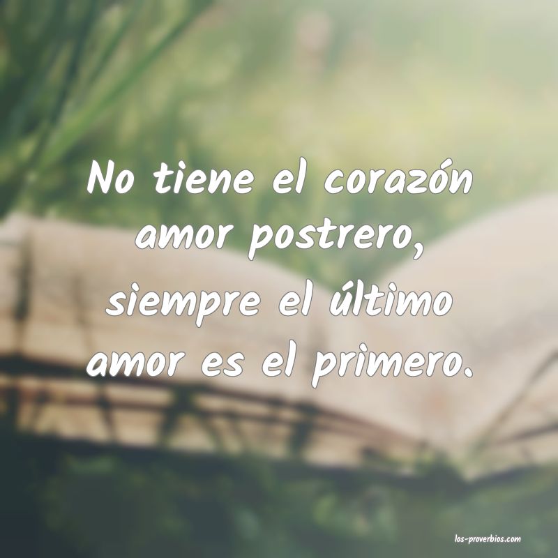 No tiene el corazón amor postrero, siempre el último amor es el primero.
