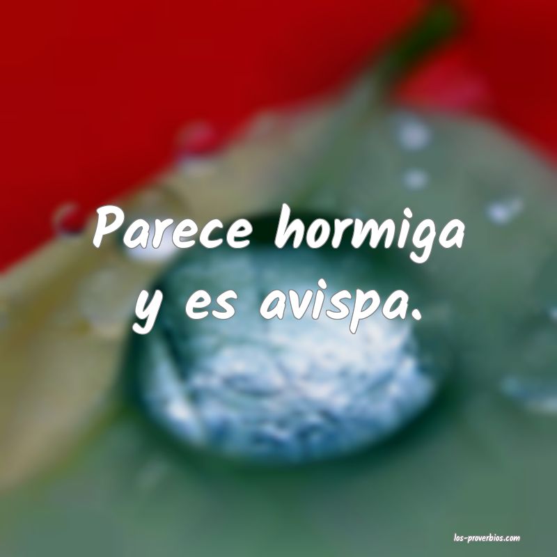 Parece hormiga y es avispa.
