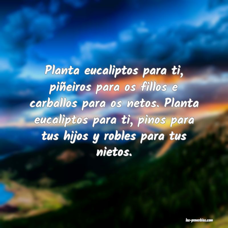 Planta eucaliptos para ti, piñeiros para os fillos e carballos para os netos. Planta eucaliptos para ti, pinos para tus hijos y robles para tus nietos.
