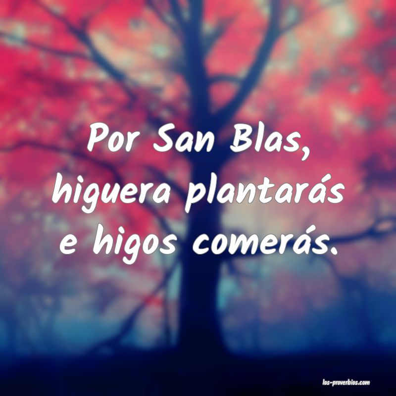 Por San Blas, higuera plantarás e higos comerás.
