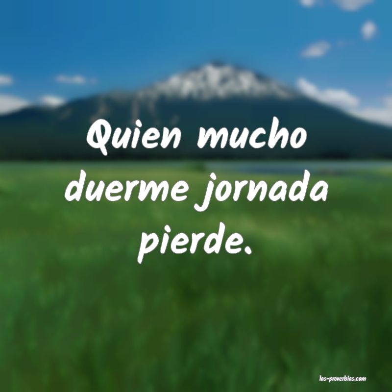 Quien mucho duerme jornada pierde.
