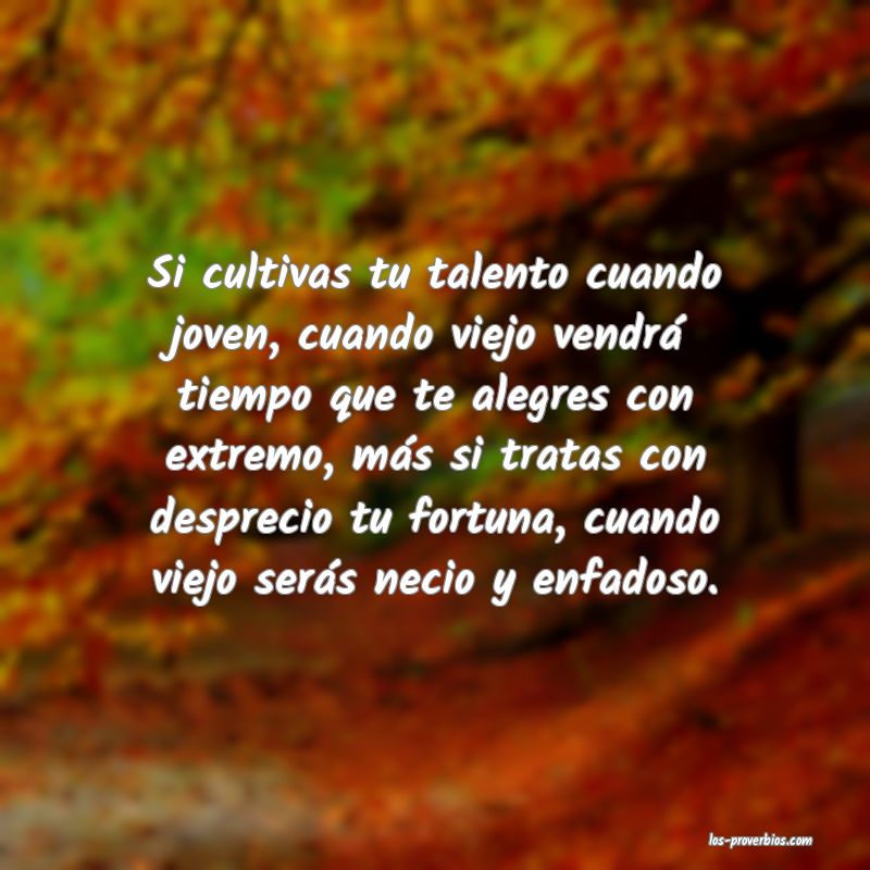 Si cultivas tu talento cuando joven, cuando viejo vendrá tiempo que te alegres con extremo, más si tratas con desprecio tu fortuna, cuando viejo serás necio y enfadoso.
