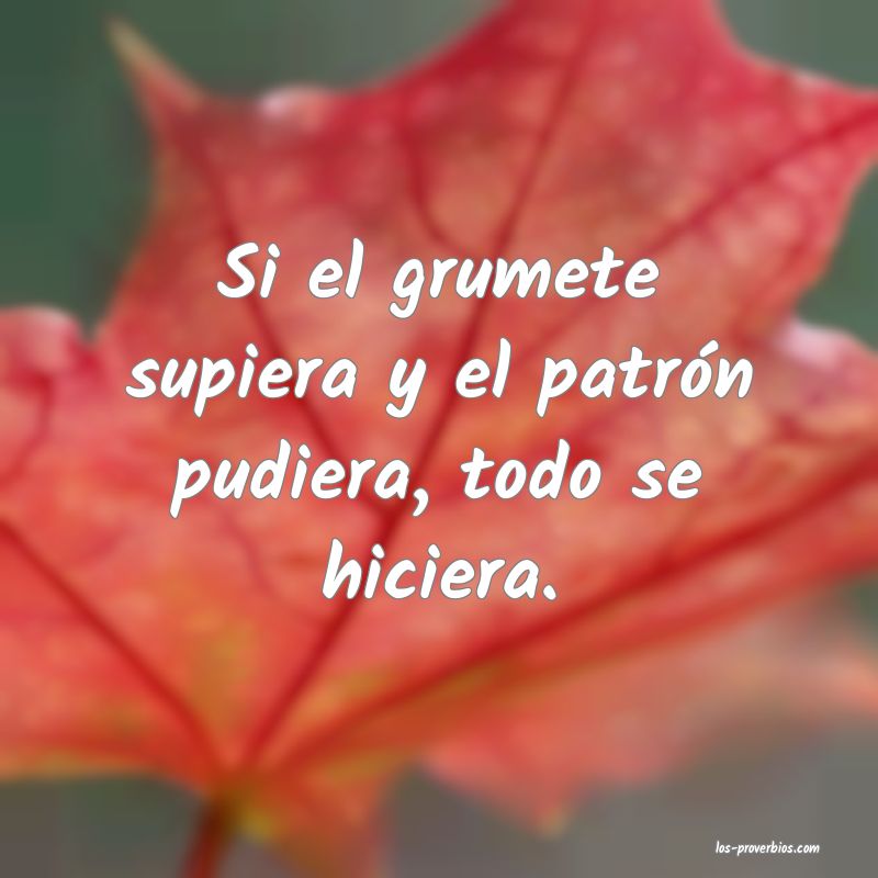 Si el grumete supiera y el patrón pudiera, todo se hiciera.
