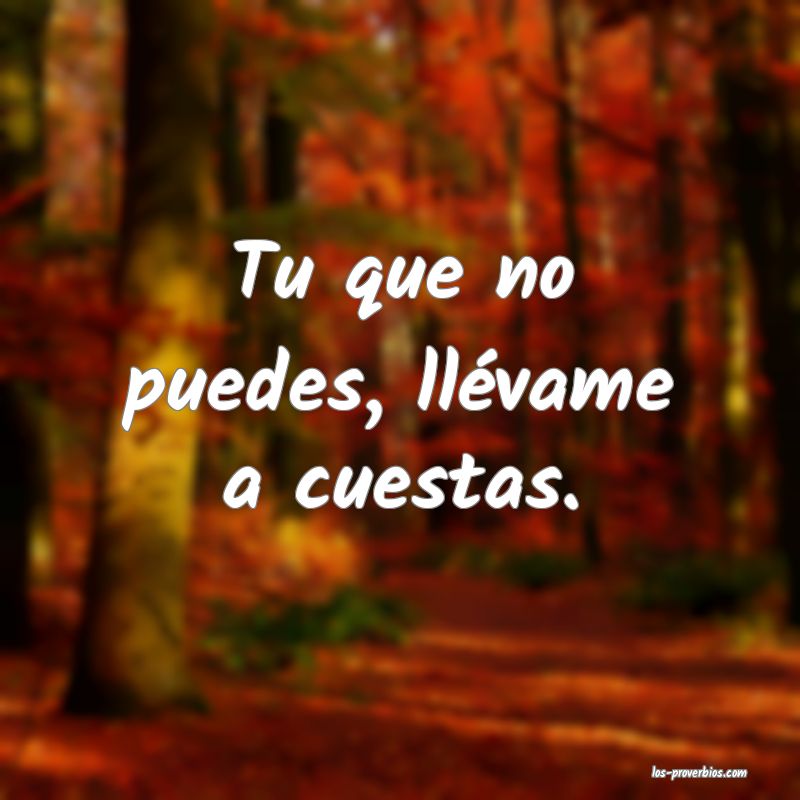 Tu que no puedes, llévame a cuestas.
