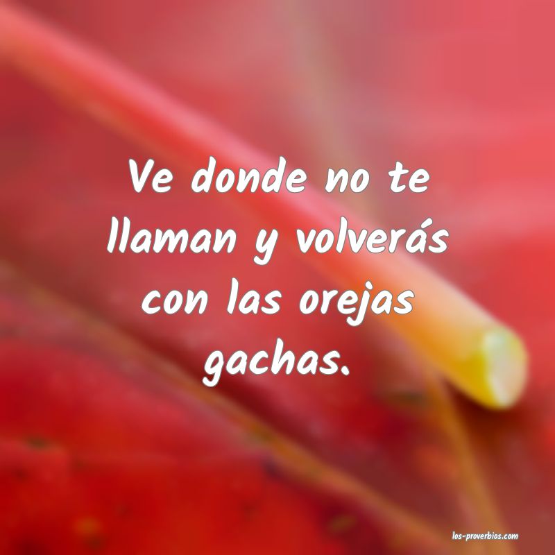 No Te Metas Donde No Te Llaman