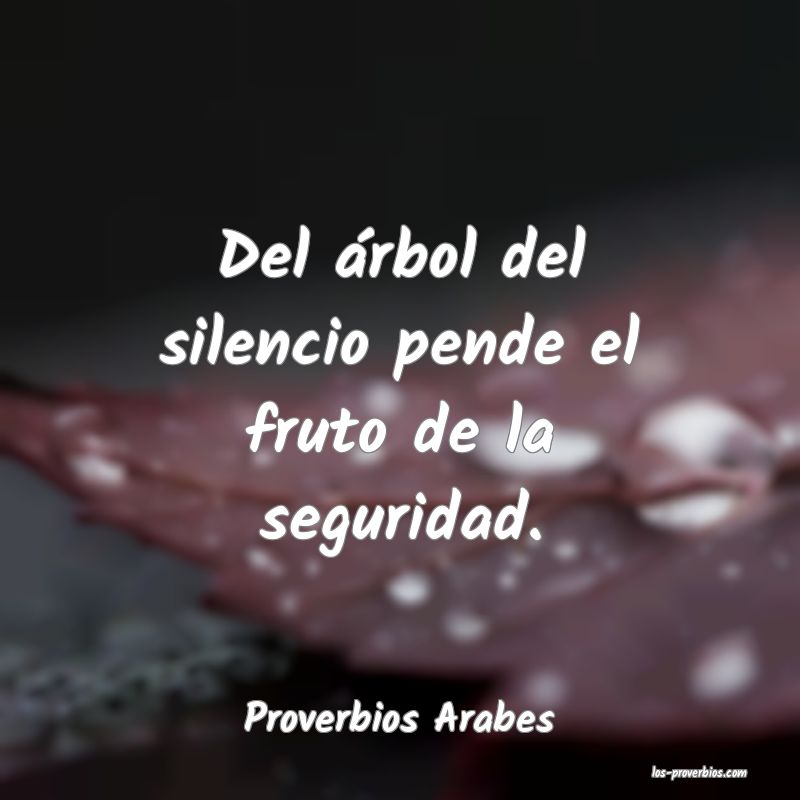 Proverbios Arabes