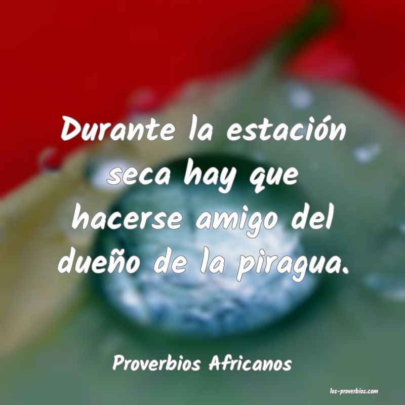 Proverbios Africanos