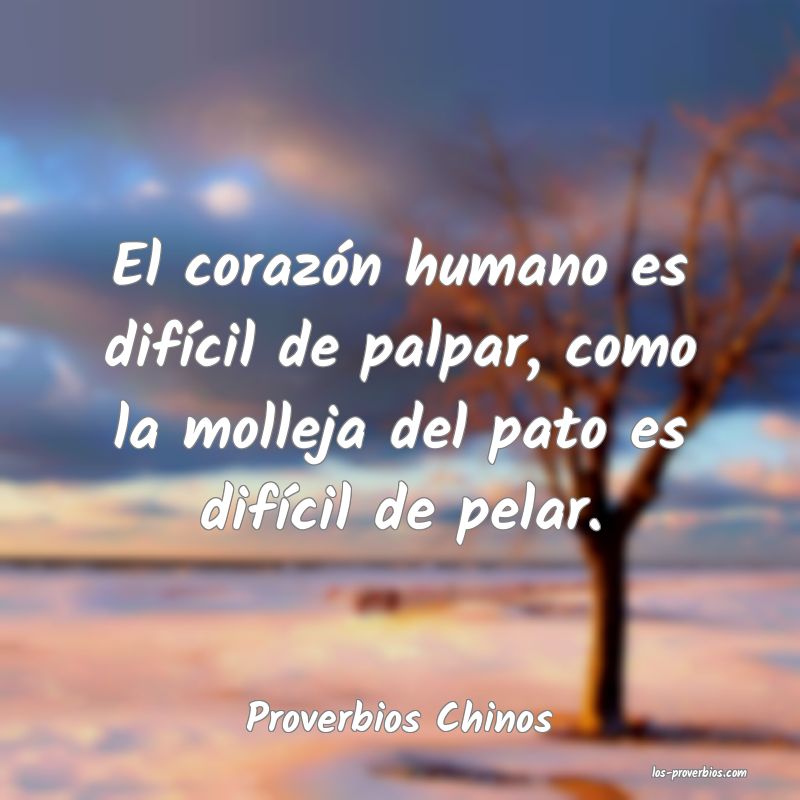 Proverbios Chinos