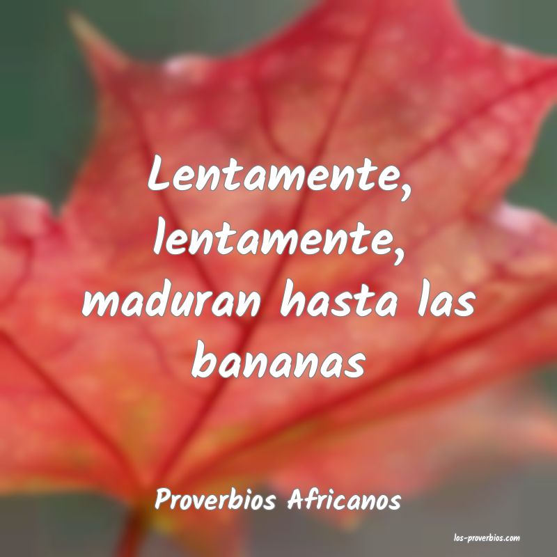 Proverbios Africanos
