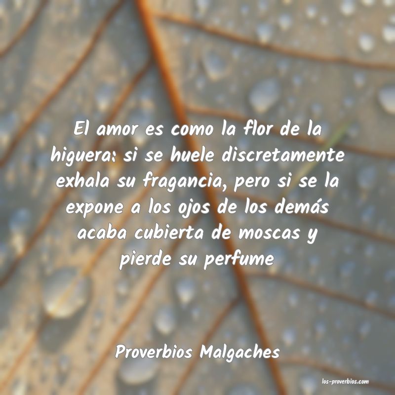 Proverbios Malgaches