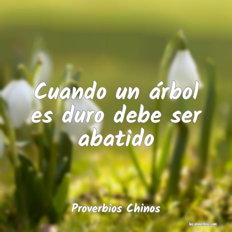 Proverbios Chinos