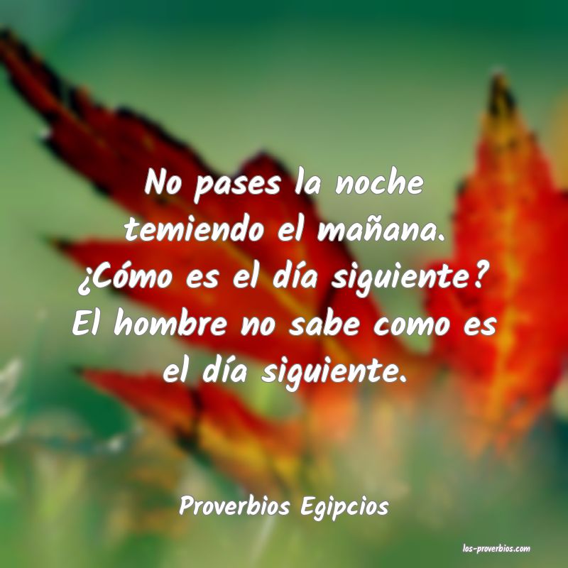 Proverbios Egipcios