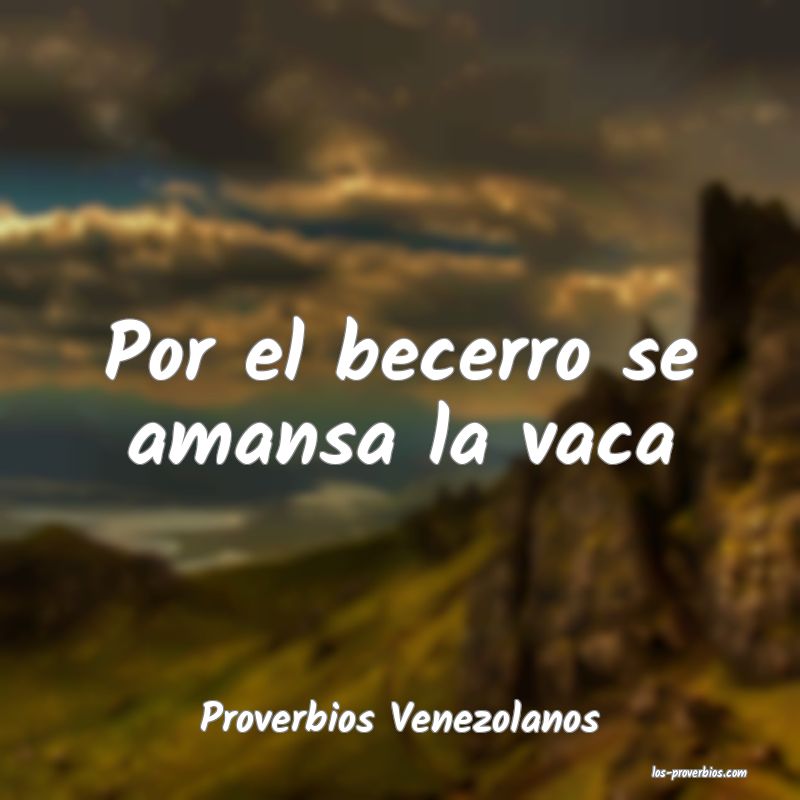 Proverbios Venezolanos