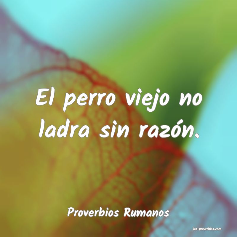 Proverbios Rumanos