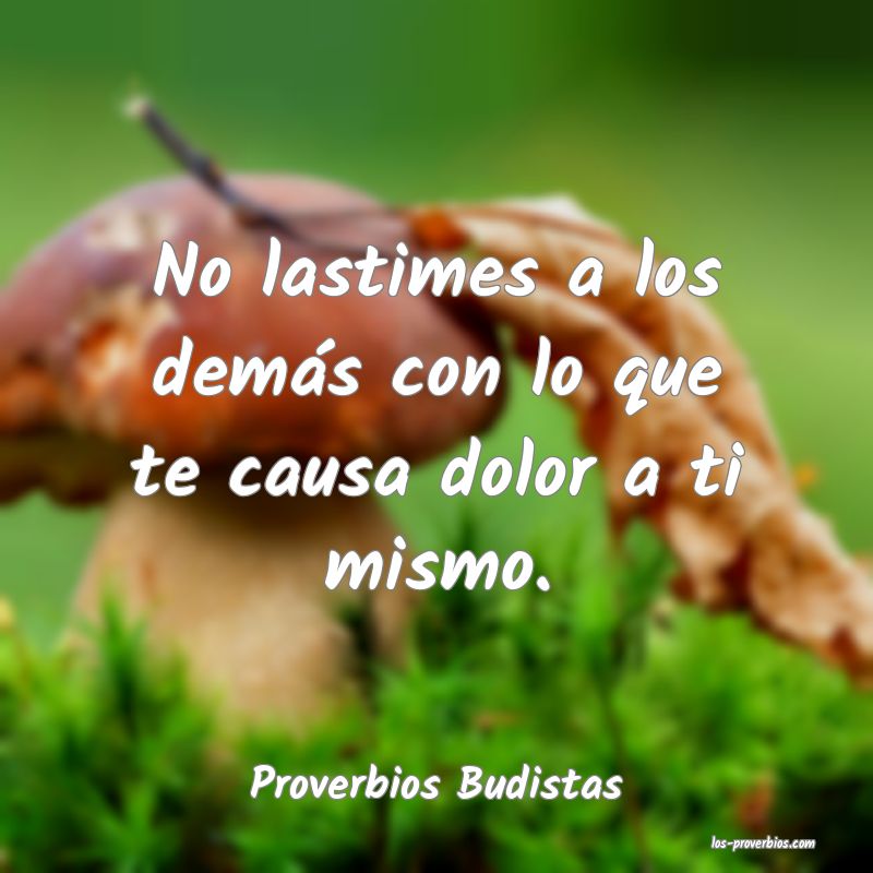 Proverbios Budistas