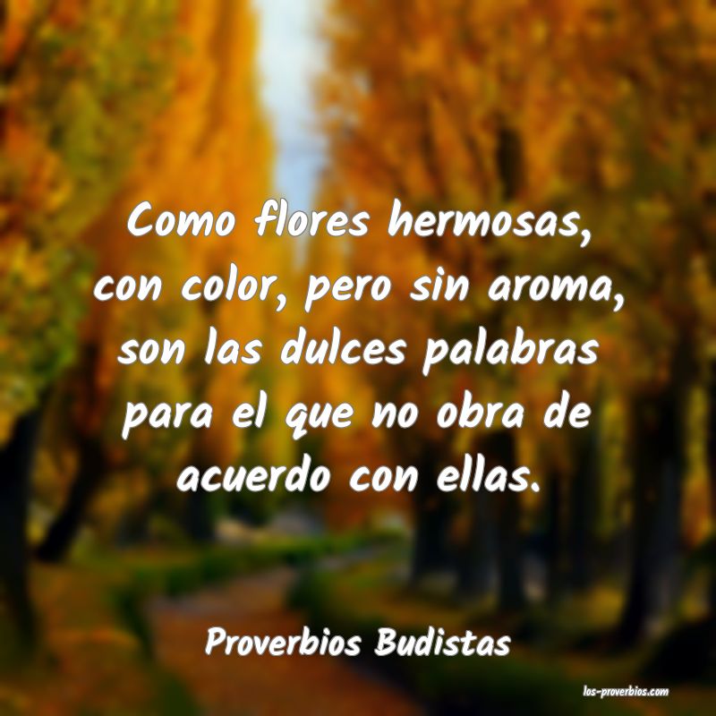 Proverbios Budistas