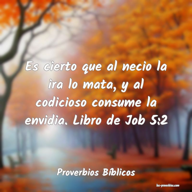 Proverbios Bíblicos
