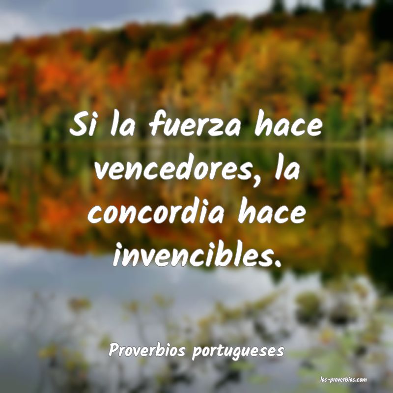 Proverbios portugueses