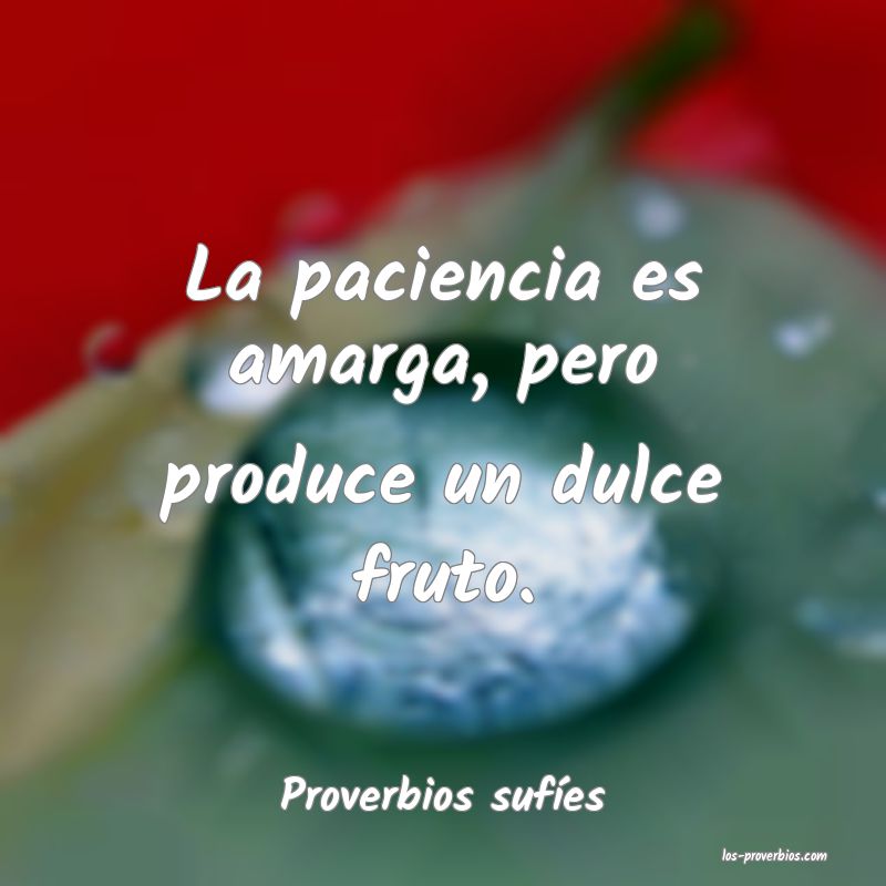 Proverbios sufíes