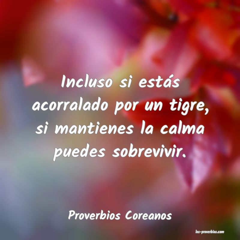 Proverbios Coreanos