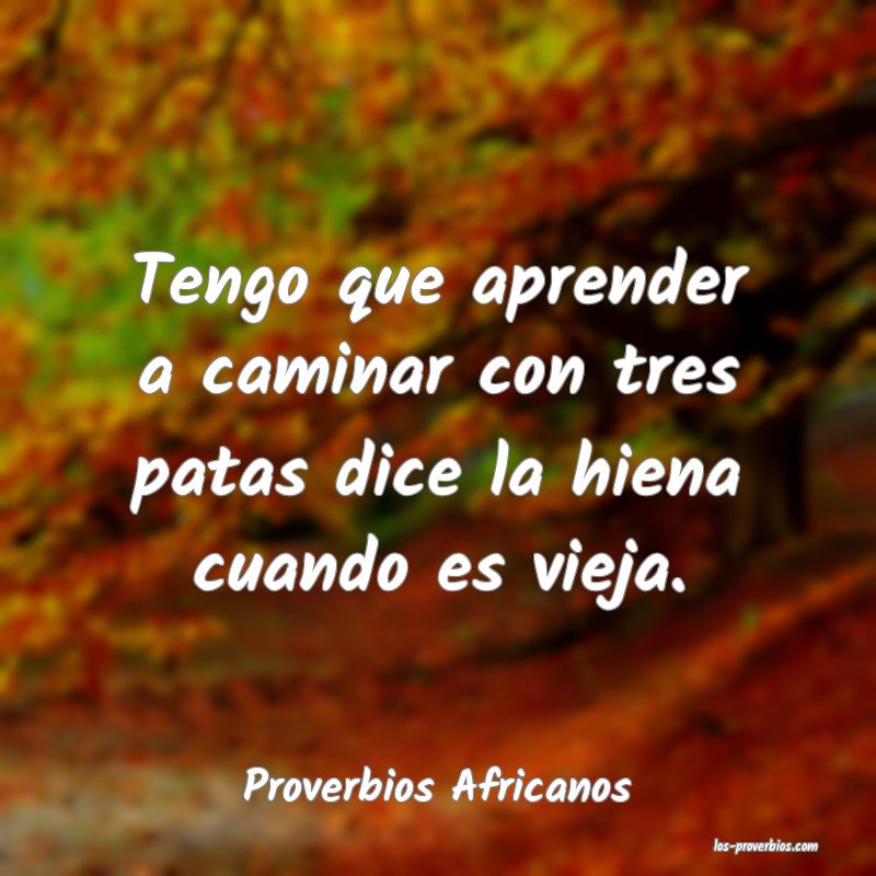Proverbios Africanos