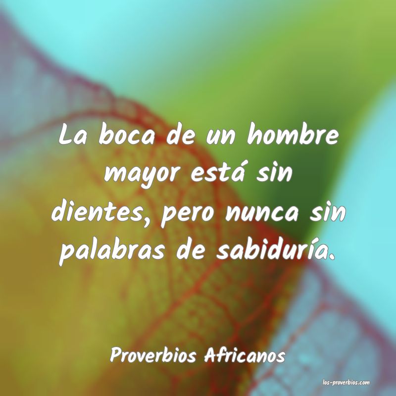 Proverbios Africanos