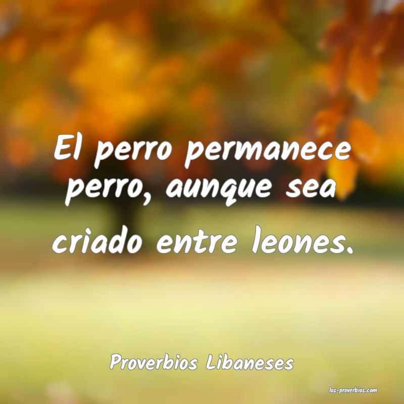 Proverbios Libaneses