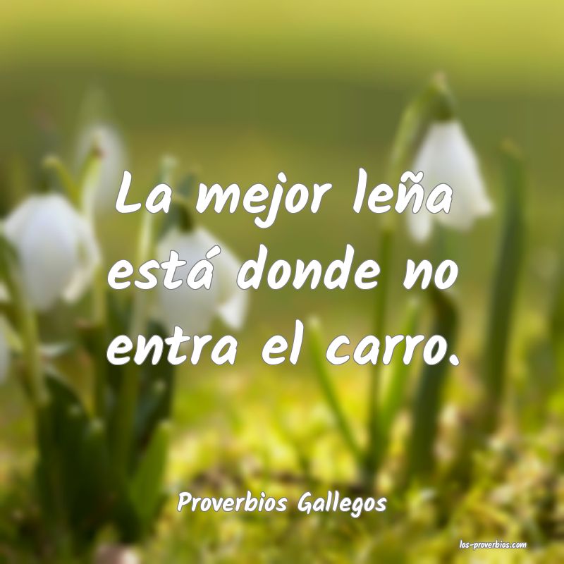 Proverbios Gallegos