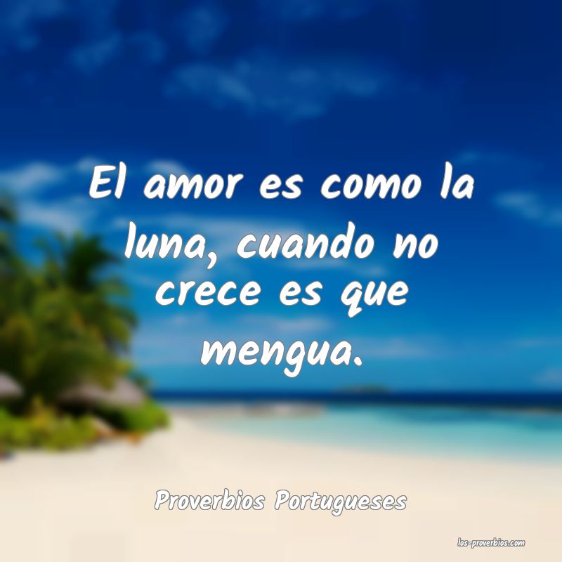 Proverbios Portugueses