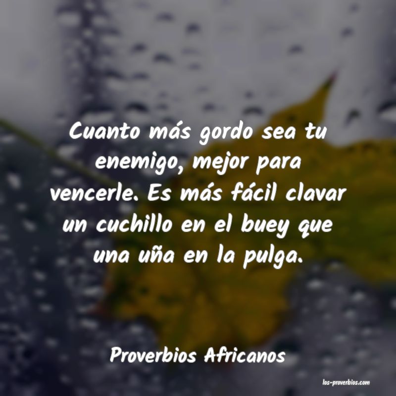 Proverbios Africanos