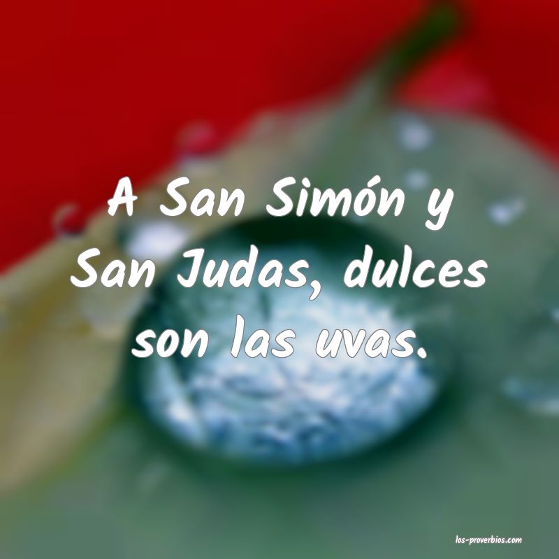 A San Simón y San Judas, dulces son las uvas.
