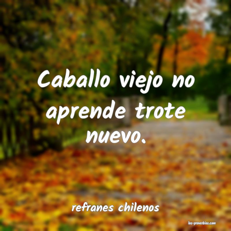 refranes chilenos