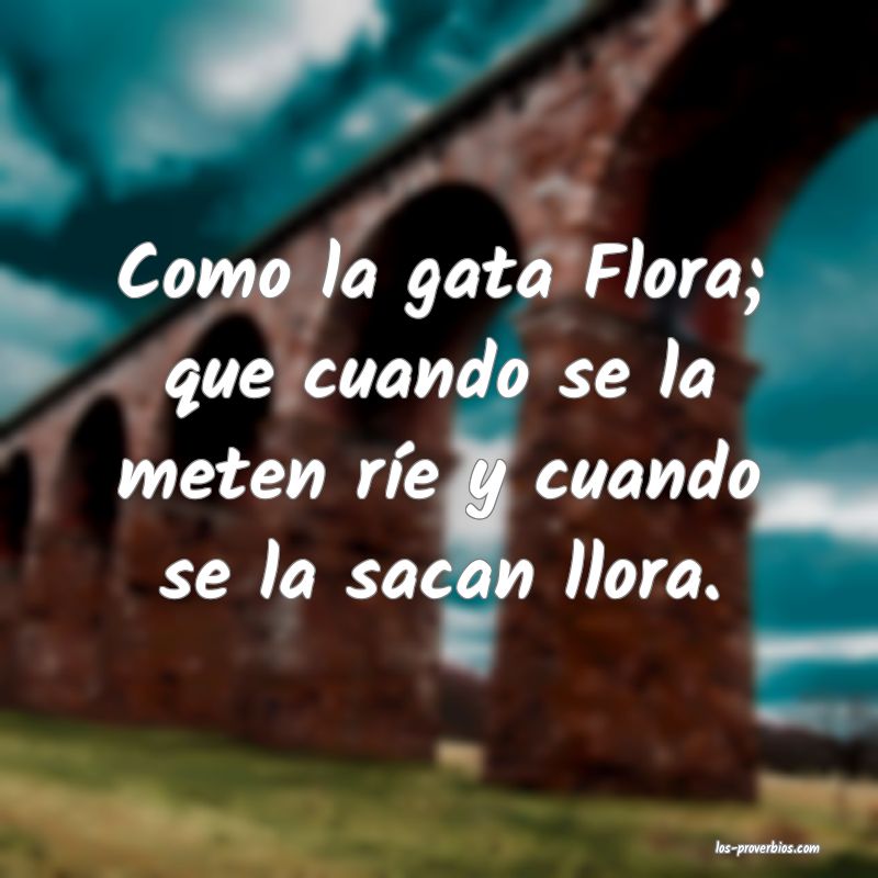 Como la gata Flora; que cuando se la meten ríe y cuando se la sacan llora.
