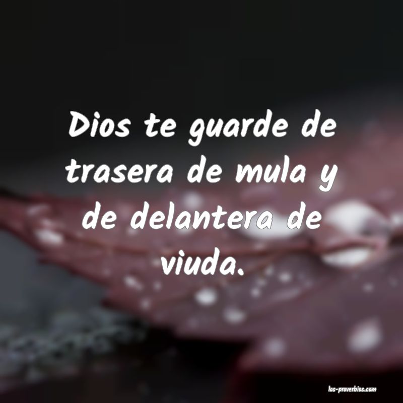 Dios te guarde de trasera de mula y de delantera de viuda.
